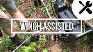 Winch Assisted Tree Felling