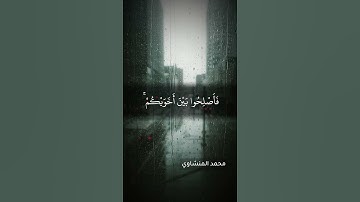 سورة الحجرات | آية 10 | #حالات_واتس
