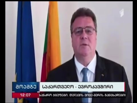 ასოცირების შესახებ შეთანხმების ამოქმედება საქართველოს  ლინას ლინკევიჩუსმა მიულოცა