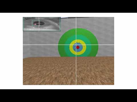 Vision Science - Eye movements in visually guided ...