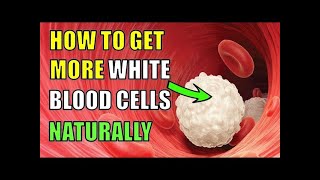 5 SUPERFOODS To Increase White Blood Cells Count & Boost Immunity
