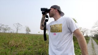 ULTIMATE Indian Wildlife SAFARI in Amazing TIGER RESERVE | Manas National Park, Assam, India