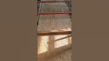 The production process of OSB board#osb #particleboard #wood #timber #woodchipper