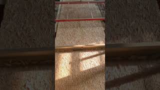 The production process of OSB board#osb #particleboard #wood #timber #woodchipper