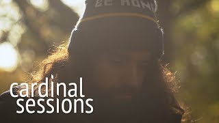 Video thumbnail of "Anthony D'Amato - Honey That's Not All - CARDINAL SESSIONS"