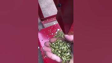 pumpkin seeds peeling machine