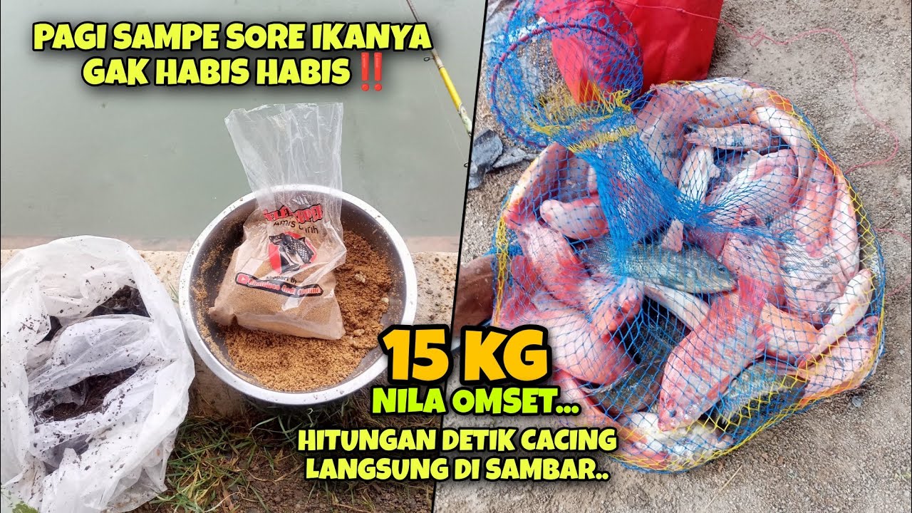 9 MENIT FULL STRIKE..‼️IKANNYA KAYAK GAK HABIS HABIS‼️