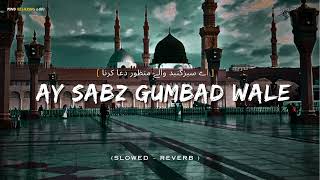 Ay Sabz Gumbad Wale ✨ (ے سبزگنبد والے منظور دعا کرنا)❤ Slowed ~ Reverb l #naat #lofinaat