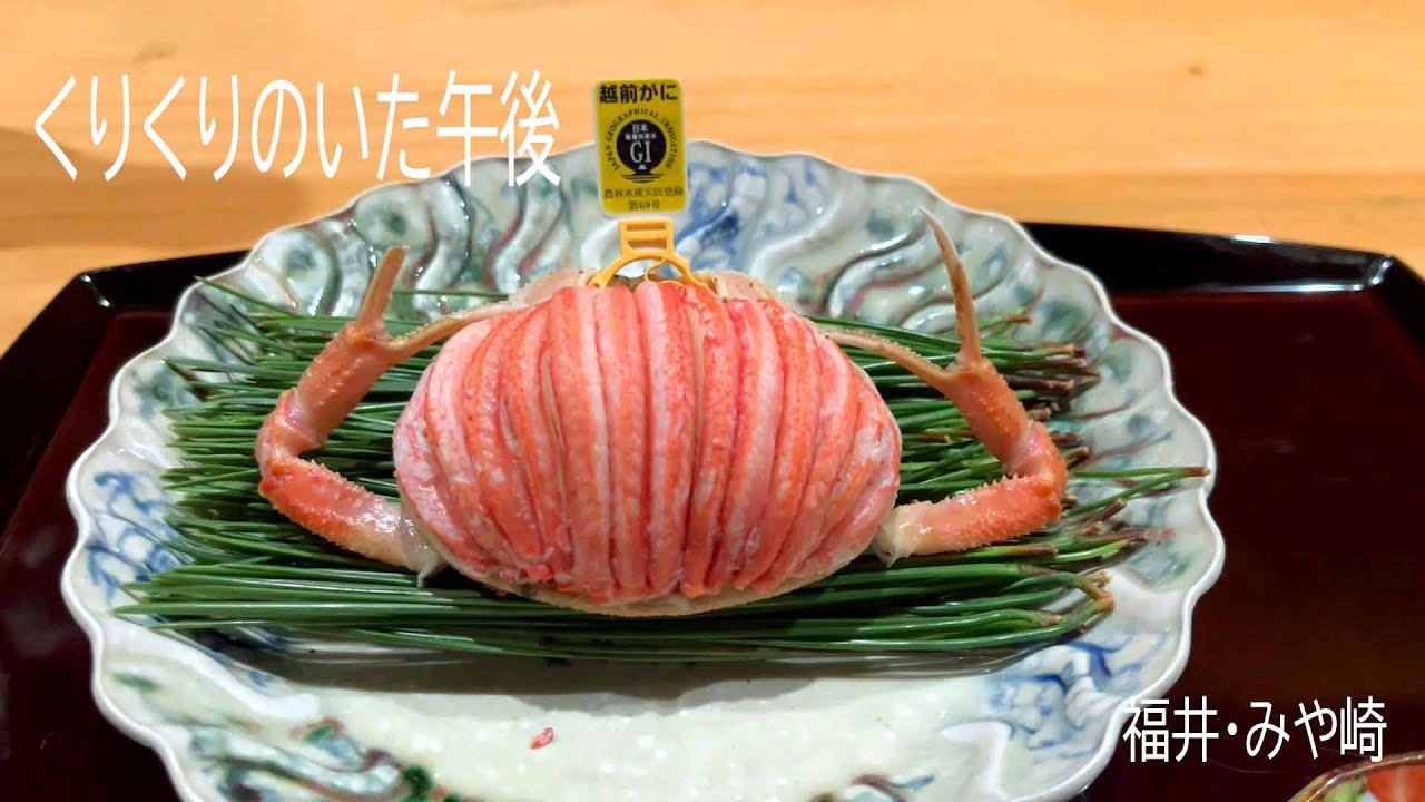 北陸の旅 #03/福井の夜/料理屋みや崎/越前蟹を堪能！/フランスと横浜ベイスターズを愛するアラ還マダム