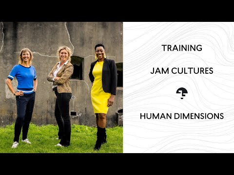 Video: Hoe Jam Verschilt Van Jam