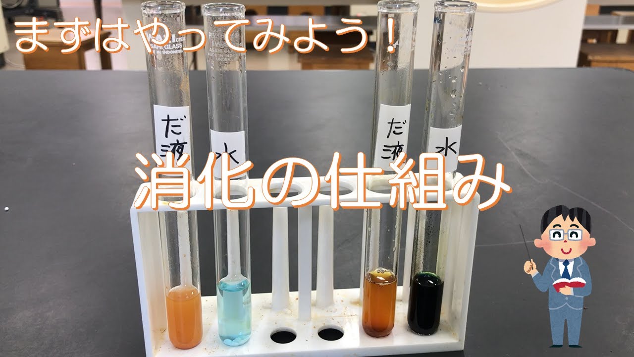 Second Year Science: Structure and Function of Animal Bodies ①