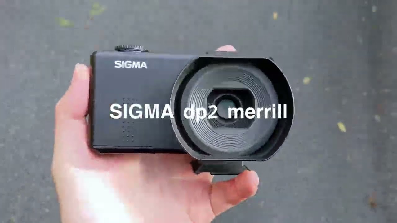 SIGMA dp2 merrill Monochrome photo walk