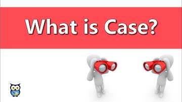 What is Case?