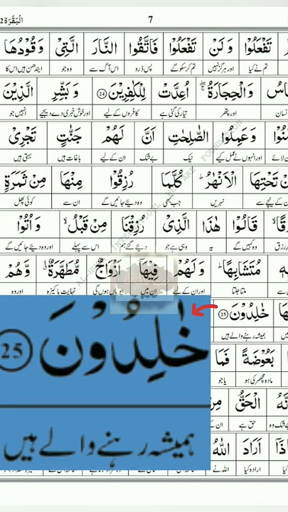 tarjuma #surah #quran #tafseer #baqara #and #fateha #tarjuma