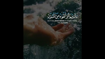 حالات واتس اب القران الكريم | الشيخ ناصر القطامي تلاوة مبكية... افرايتم الماء الذي تشربون