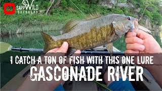 Kayak Fishing the Gasconade River | Cheap Lure that Catches Fish