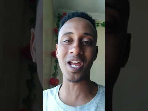 Ergaa Kiyya Abiyyi Ahmed Lammaa Magarsaa