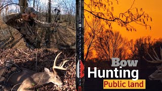 Hunting High Pressured Whitetails / Real Hunting