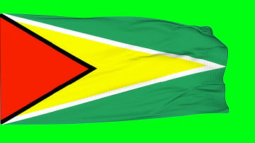 Guyana  - Flag 02 - World Flag Series - Sp Studio - Piyush Solanki