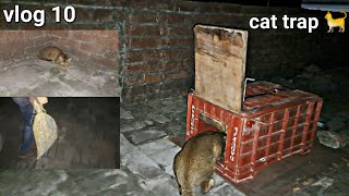 ਬਿੱਲੀ ਫੜਨ ਲਈ trap / how to make cat trap at home || #karmapigeons #kabooterbaji #punjab || #petvlog