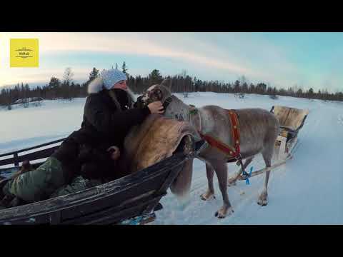 أقصى شمال السويد