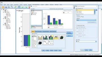 SPSSisFun: Creating Bar Graphs using the Chart Builder function
