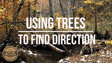 Direction Finding with a Tree