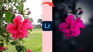 Pink And Black Effect Lightroom Photo Editing Black And Pink Lightroom Presets Ep-56