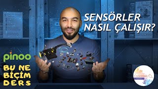 Sensör Nedir Ve Sensörler Nasıl Çalışır? Uygulamalı Anlatım W Pinoo