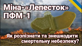 Міна «Лепесток» ПФМ-1: як розпізнати та знешкодити смертельну небезпеку?