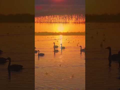 بحيرة هاسو في منغوليا الداخلية 