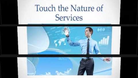 Dolphin Development Services and Methods at CrowdFinch