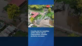 Crecida del río Andalién activa alerta roja en Concepción: evacúan sectores cercanos