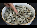 清洗花蛤時用鹽和油就錯了，海邊60歲老漁民教我一招，花蛤瘋狂吐泥沙，方法簡單又快速 Amazing Clam Cleaning Hack: How To Clean and Prepare Clams
