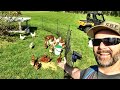 How to Raise your own food on a small property or lawn!