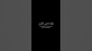 أَفَلَمْ يَسِيرُوا فِي الْأَرْضِ | القارئ ياسر الدوسري سورة الحج كروما آيات قرانيه