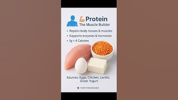 Macros Made Simple | Protein, Carbs & Fats Explained in 30 Seconds! #carbs macronutrients #carbsfuel