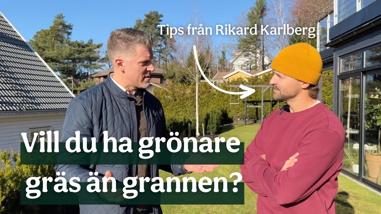 Grönare gräs än grannen? - Hur du ger din gräsmatta bästa möjliga start på året