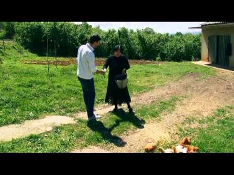 fermeris dgiuri 8 მეფრინველეობა