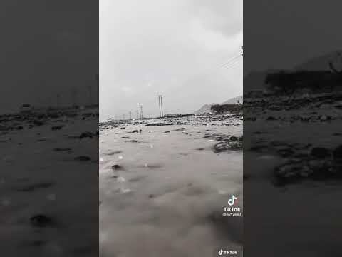 حلات واتس يارياح المطر