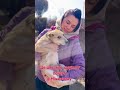 I Don T Have Time To Show You Our New Puppies Because I M At Work And They Re About To Go To Thei 
