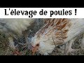 L'œuf ou la poule ?