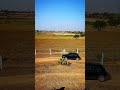 lut le gya 😍#shorts #ytshorts #swift #carlover #viral #viralsong