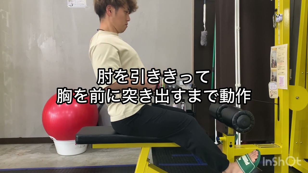 シーテッドロー　背筋　腰　広背筋　筋トレ