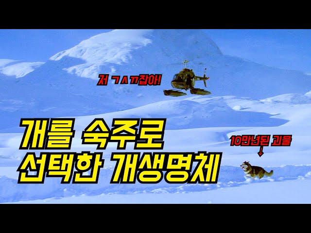 개를 숙주로 삼아 10만년만에 목적을 달성하려 하는 개생명체
