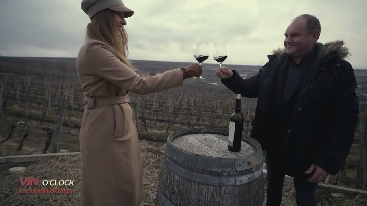 Lacerta, locul unde strugurii și șopârlele fac casă bună împreună