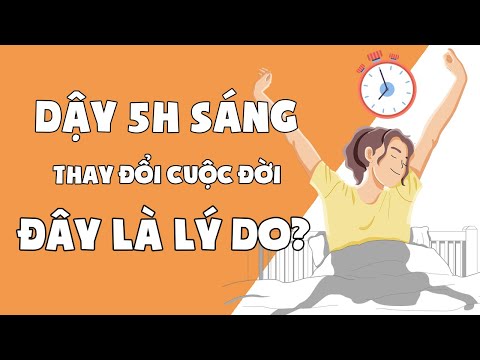 Video: Liza Umarova: Tiểu Sử, Sự Sáng Tạo, Sự Nghiệp, Cuộc Sống Cá Nhân