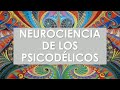 Neurociencia de los psicodélicos