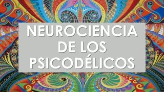 Neurociencia de los psicodélicos