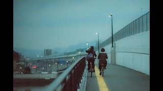 Short Film - Wild Lifestyle (Aesthetic)